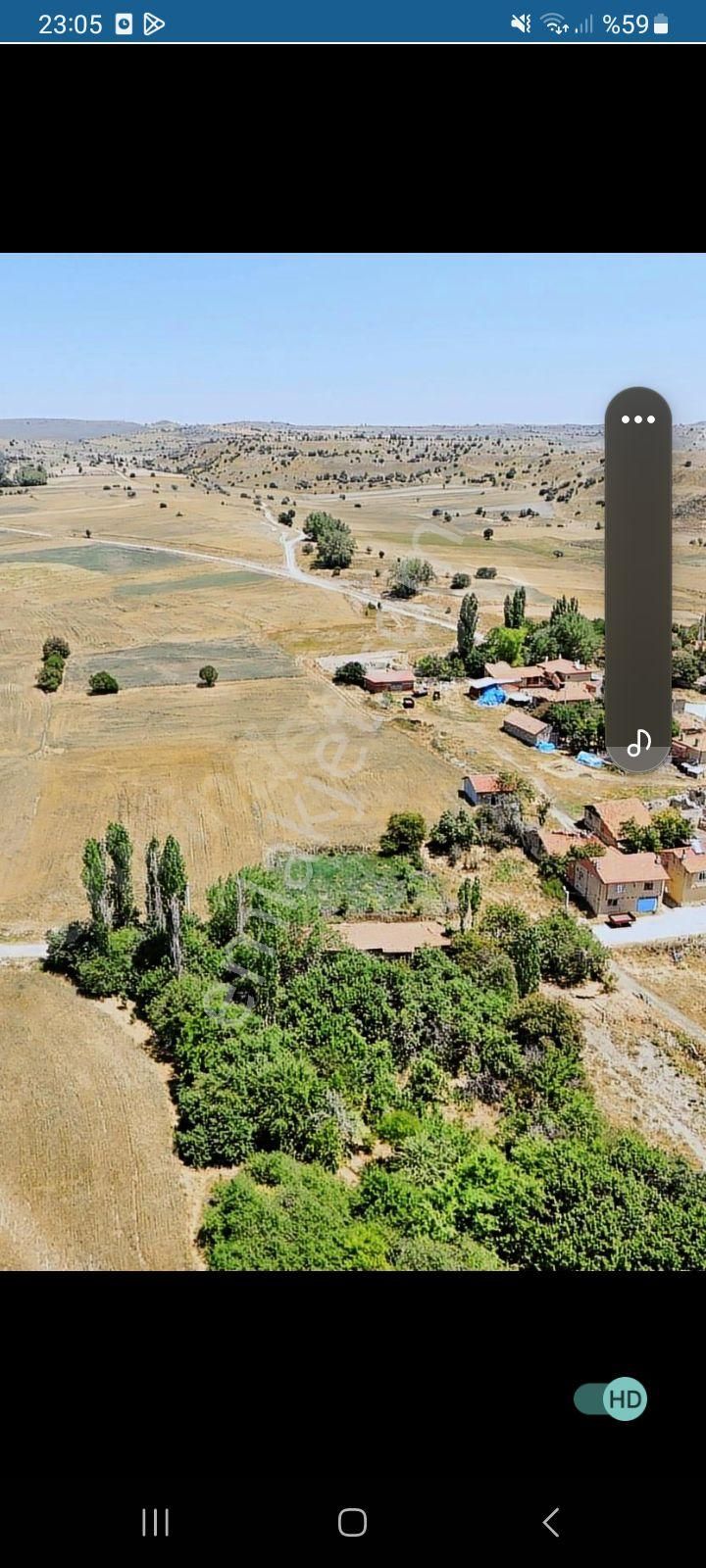 Kütahya Merkez Kükürt Köyü Satılık Bağ & Bahçe sahibinden 