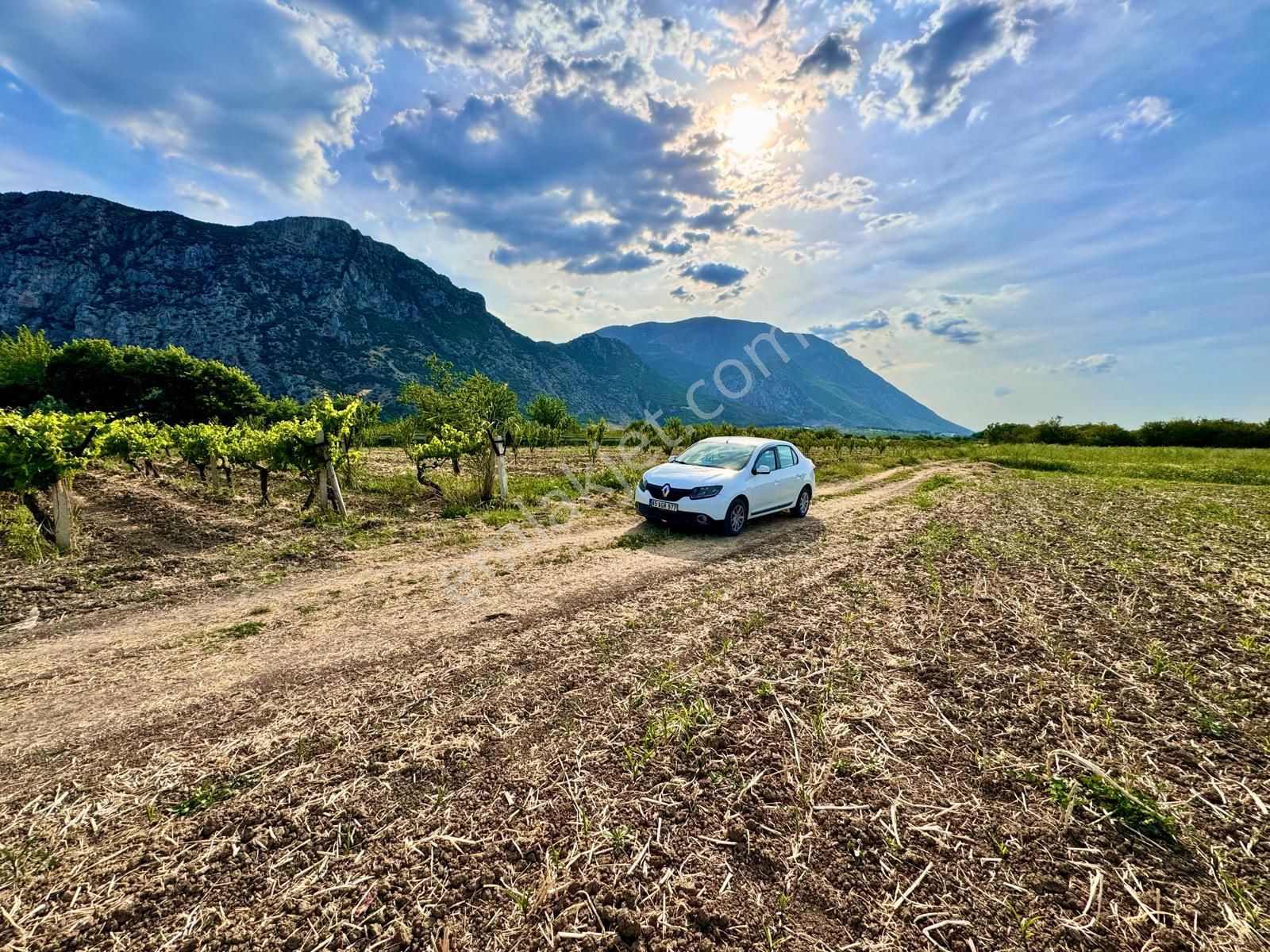 Şehzadeler Yukarıçobanisa Satılık Bağ & Bahçe  MANİSA YUKARIÇOBANİSA ' DA 3.700 M2 BAĞ ,RESMİ YOLU VAR , MANİSA MERKEZE 9 KM