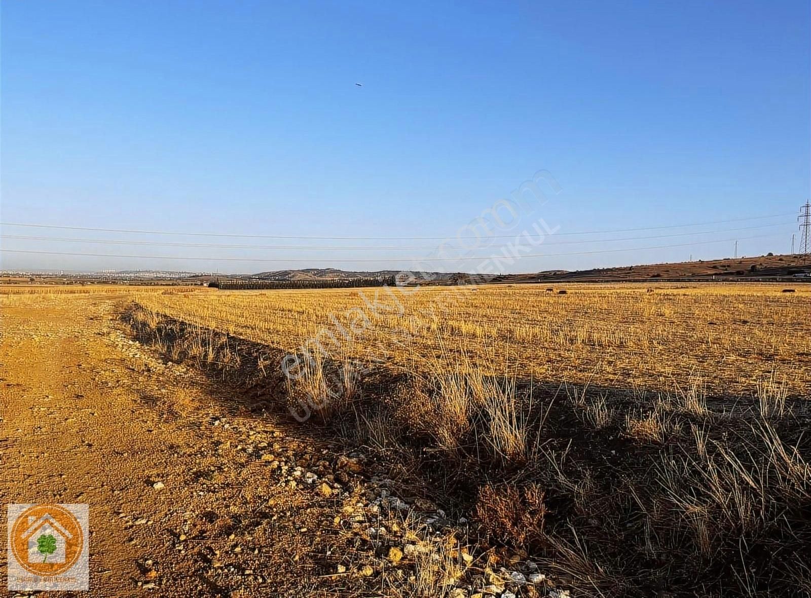 Tepebaşı Turgutlar Satılık Tarla ESKİŞEHİR TEPEBAŞI TURGUTLARDA ASVALTA YAKIN KADASTRO YOLU VAR