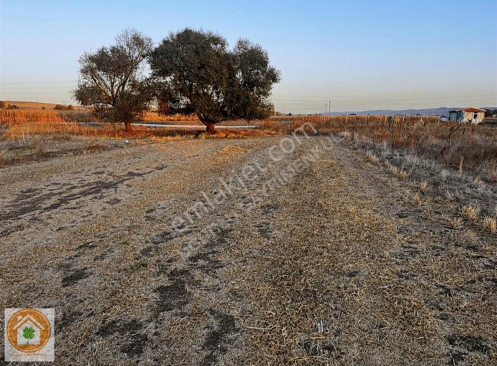 Tepebaşı Turgutlar Satılık Tarla ESKİŞEHİR TEPEBAŞI TURGUTLARDA KADASTRO YOLU SUYA MERA SIFIR