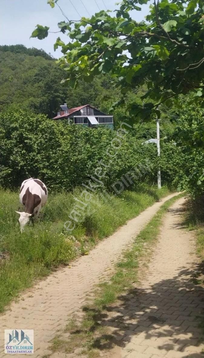 Söğütlü Karateke Satılık Bina SAKARYA SÖĞÜTLÜ DE 2200 M2 ARSA İÇERİSİNDE 260M2 EV