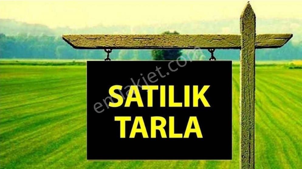 Çifteler Yıldızören Satılık Tarla Akademi Emlak'tan Çifteler Yıldızörende 22 Dönüm Tarla