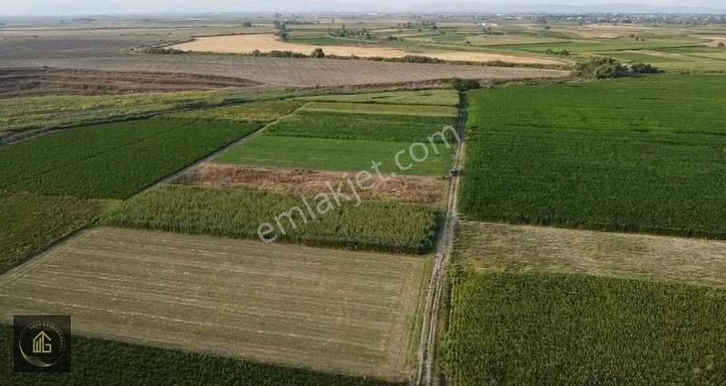 Mustafakemalpaşa Ovaazatlı Satılık Tarla Bursa Mustafakemalpaşa İlçesi Ovaazatlı Satılık Tarla