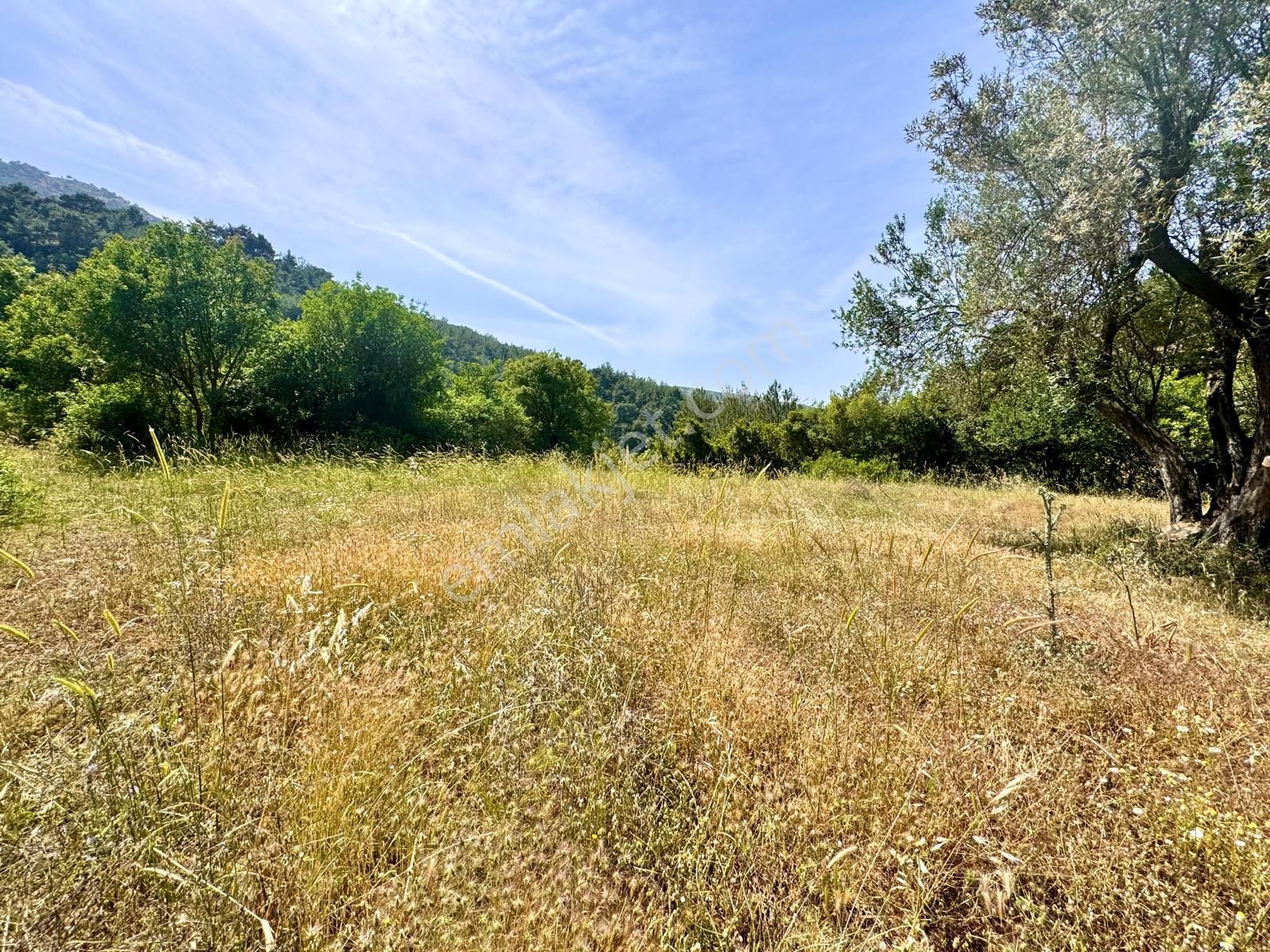 Yunusemre Türkmen Satılık Bağ & Bahçe Manisa Türkmenköy ' De 1.086 M2 Bahçe , Piknik Alanına Yakın