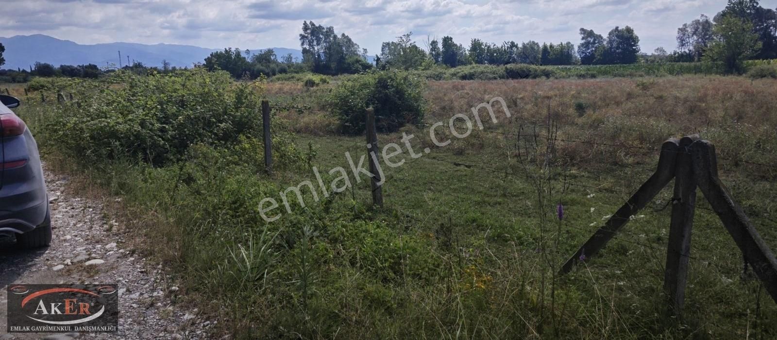Aker Emlak Tan 1500 M2 Arsa İçinde 5 Yaşında Kavak Ağaçlı Arazi.