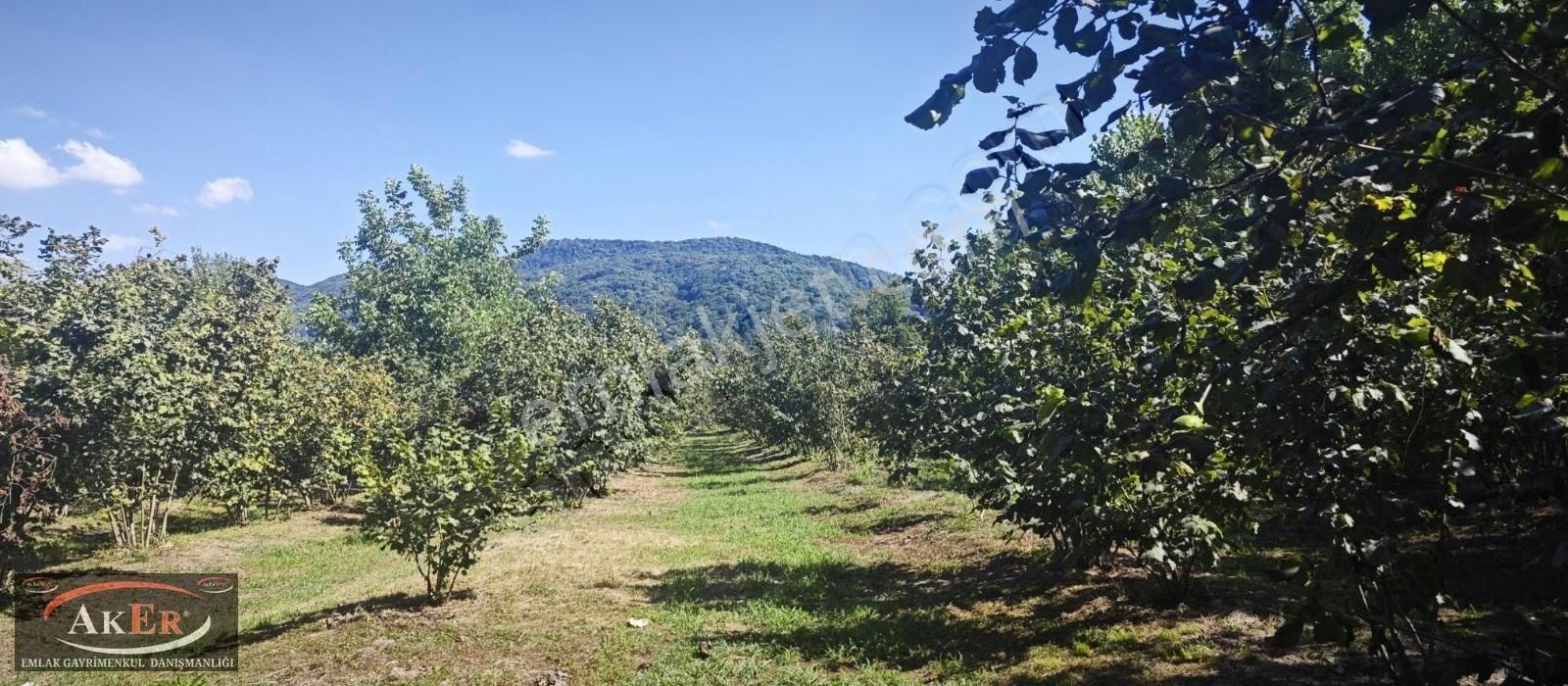 İmarlı Müstakil Tapu