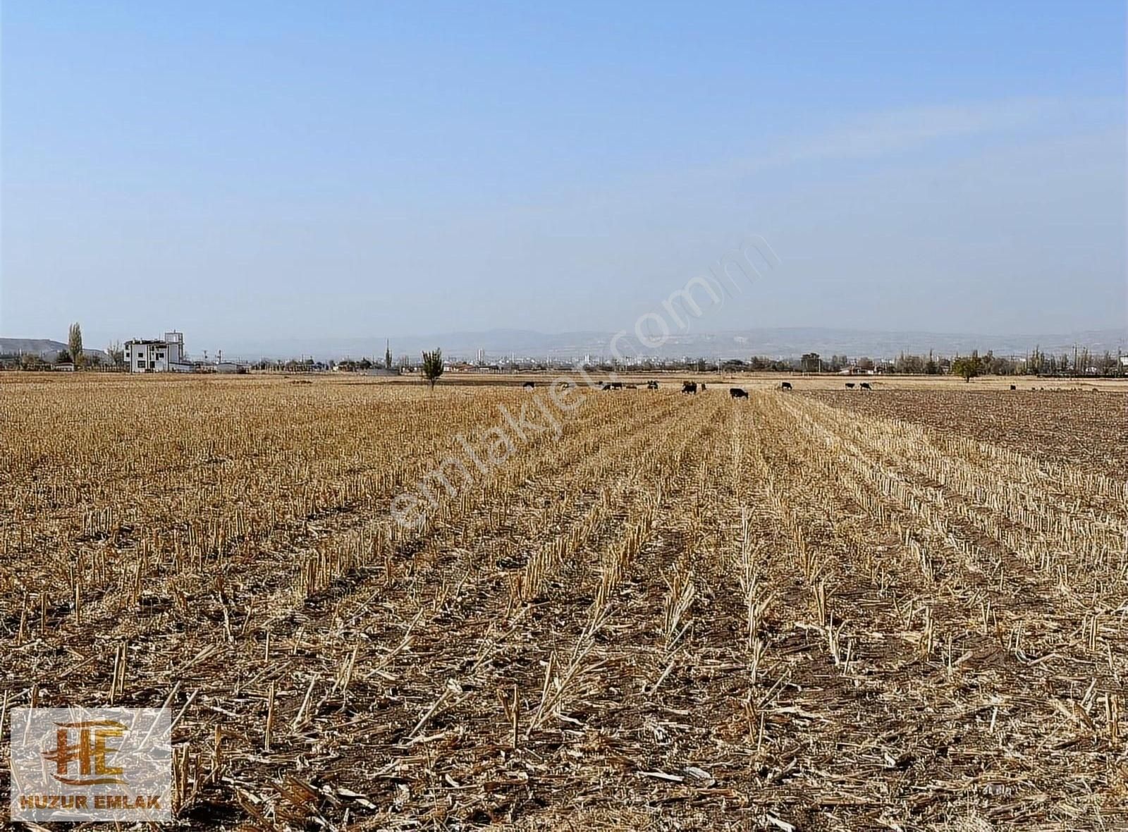 Kahramankazan İçören Satılık Tarla HUZUR EMLAK'TAN İÇÖRENDE 7100 METRE KUPON PARSEL