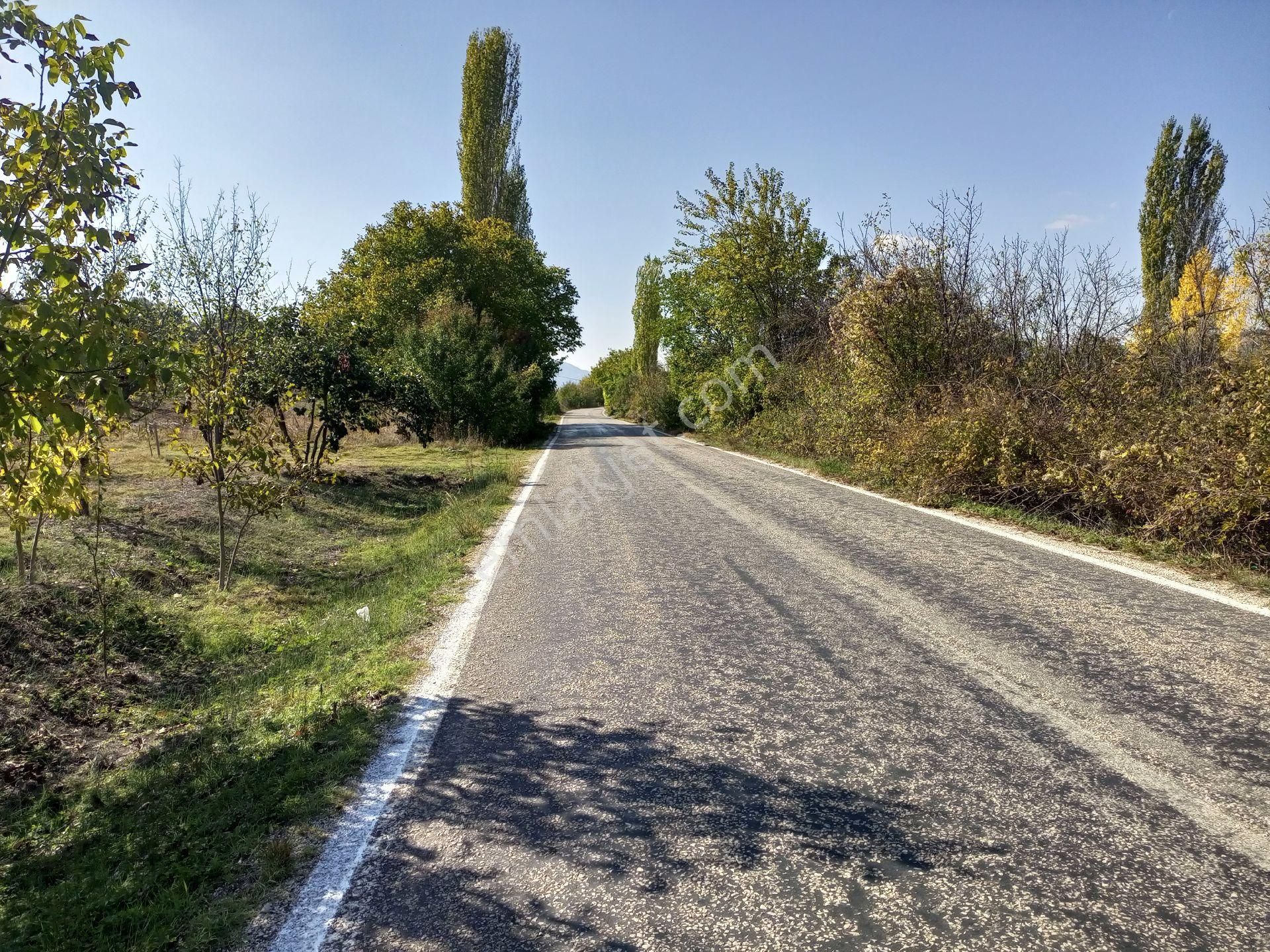 Gölpazarı Doğancılar Köyü Satılık Bağ & Bahçe KELEPİR BİLECİK GÖLPAZARI DOĞANCI KÖYÜ YER BOLU BİLECİK YOLUNA CEPHE 