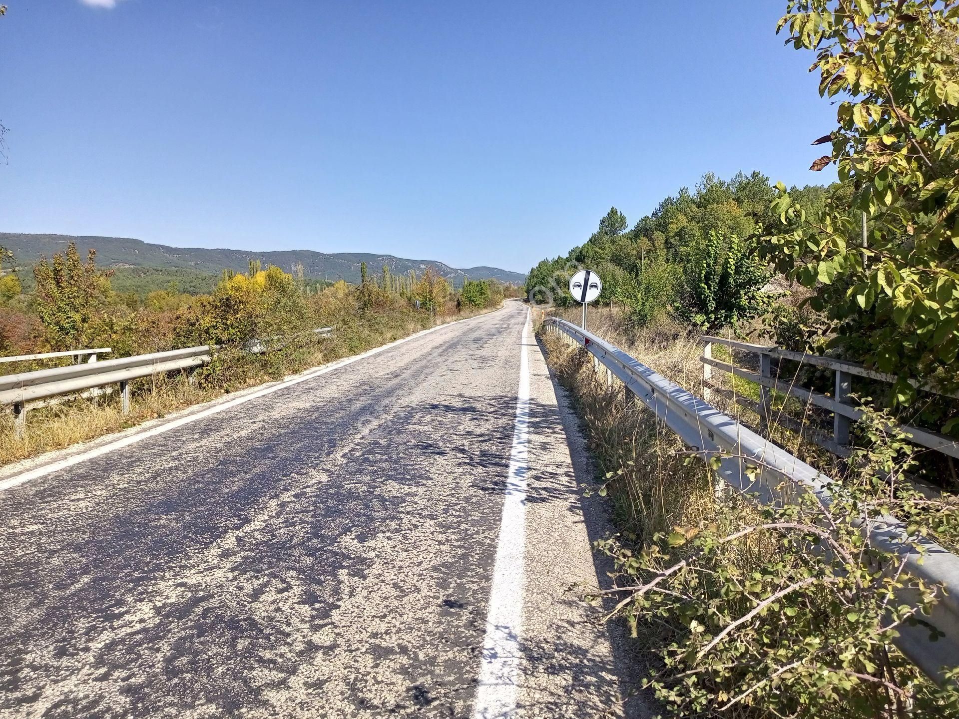 Gölpazarı Doğancılar Köyü Satılık Tarla Bilecik Gölpazarı Doğancı Köyü Yerimiz Bolu Bileçik Yoluna Cepe