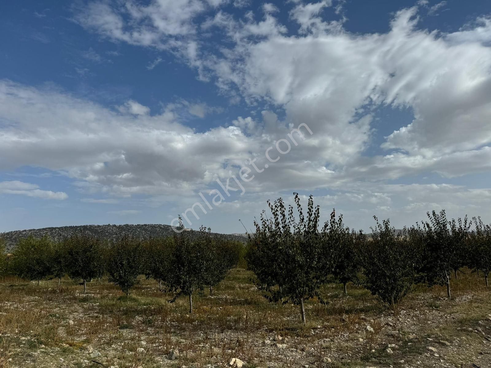 Korkuteli Sülekler Satılık Tarla  ANTALYA KORKUTELİ SÜLEKLERDE SATILIK ARSA