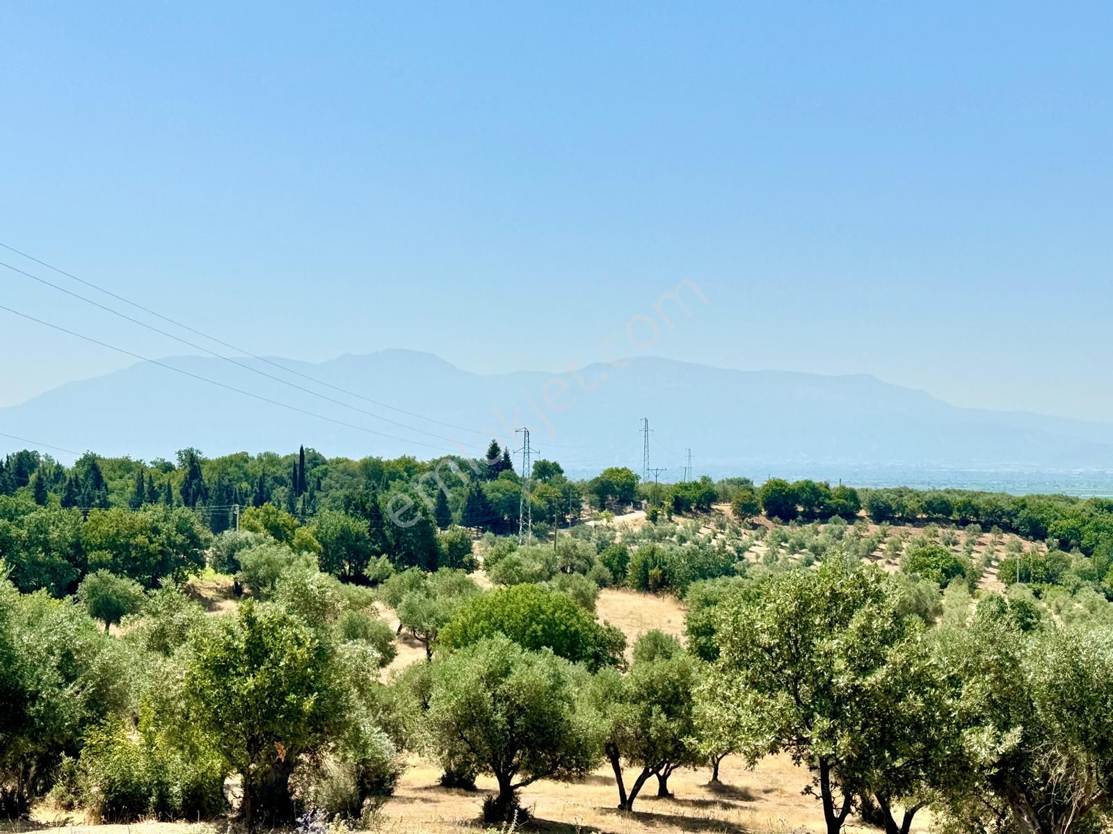 Yunusemre Üçpınar Satılık Tarla Manisa Üçpınar ' Da 1.300 M2 Tarla , İmara Açılabilecek Yerde Manzaralı