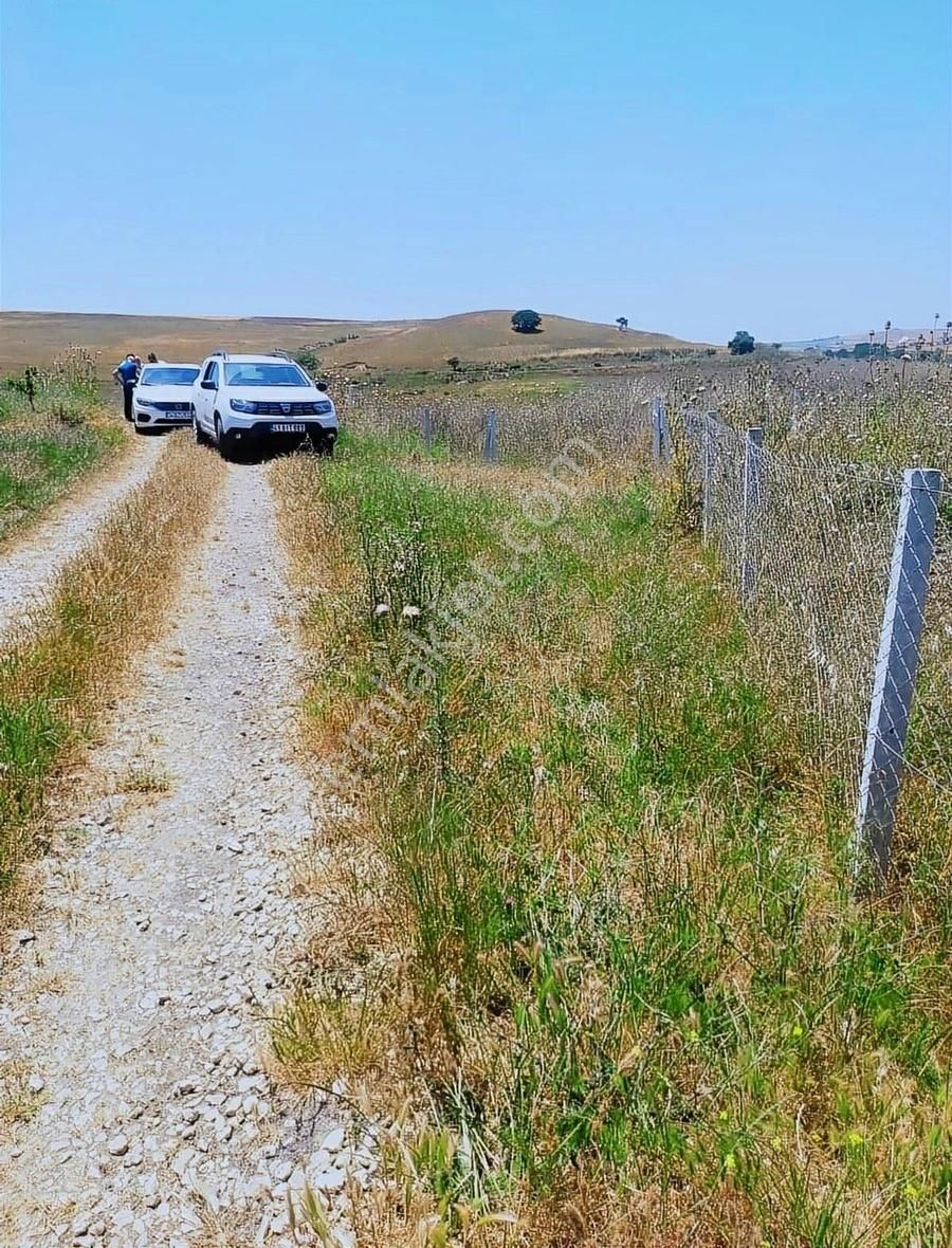 Düzce Merkez Köprübaşı Köyü Satılık Tarla Düzce Köprübaşıömerefendi Köyünde 2 Çiftliğin Ortasında Arsa