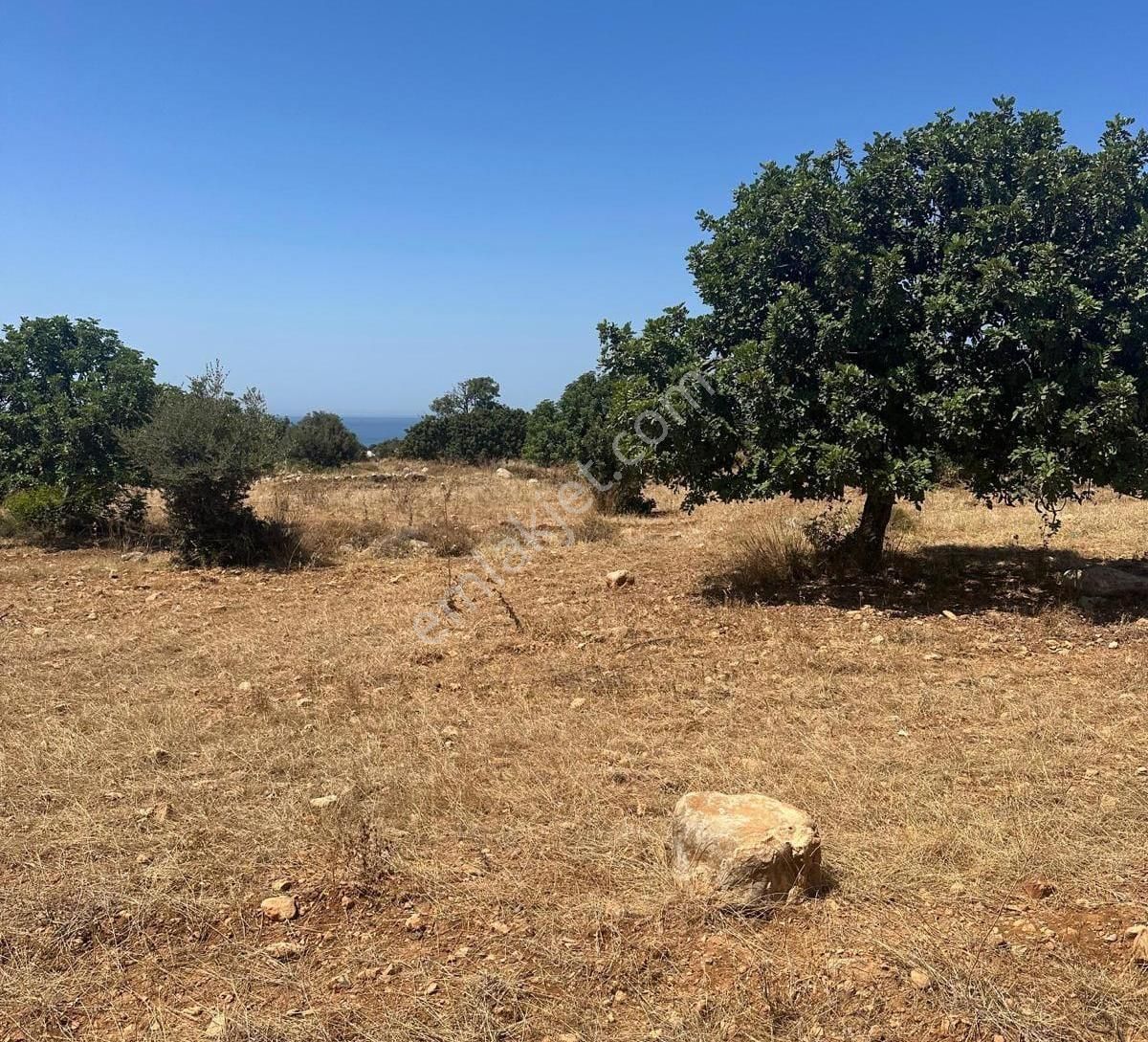 Gazimağusa Tatlısu Köyü (Aktunç) Satılık Arazi  MAĞUSA TATLISU'DA DENİZE YAKIN İMARLI ARSA !!!