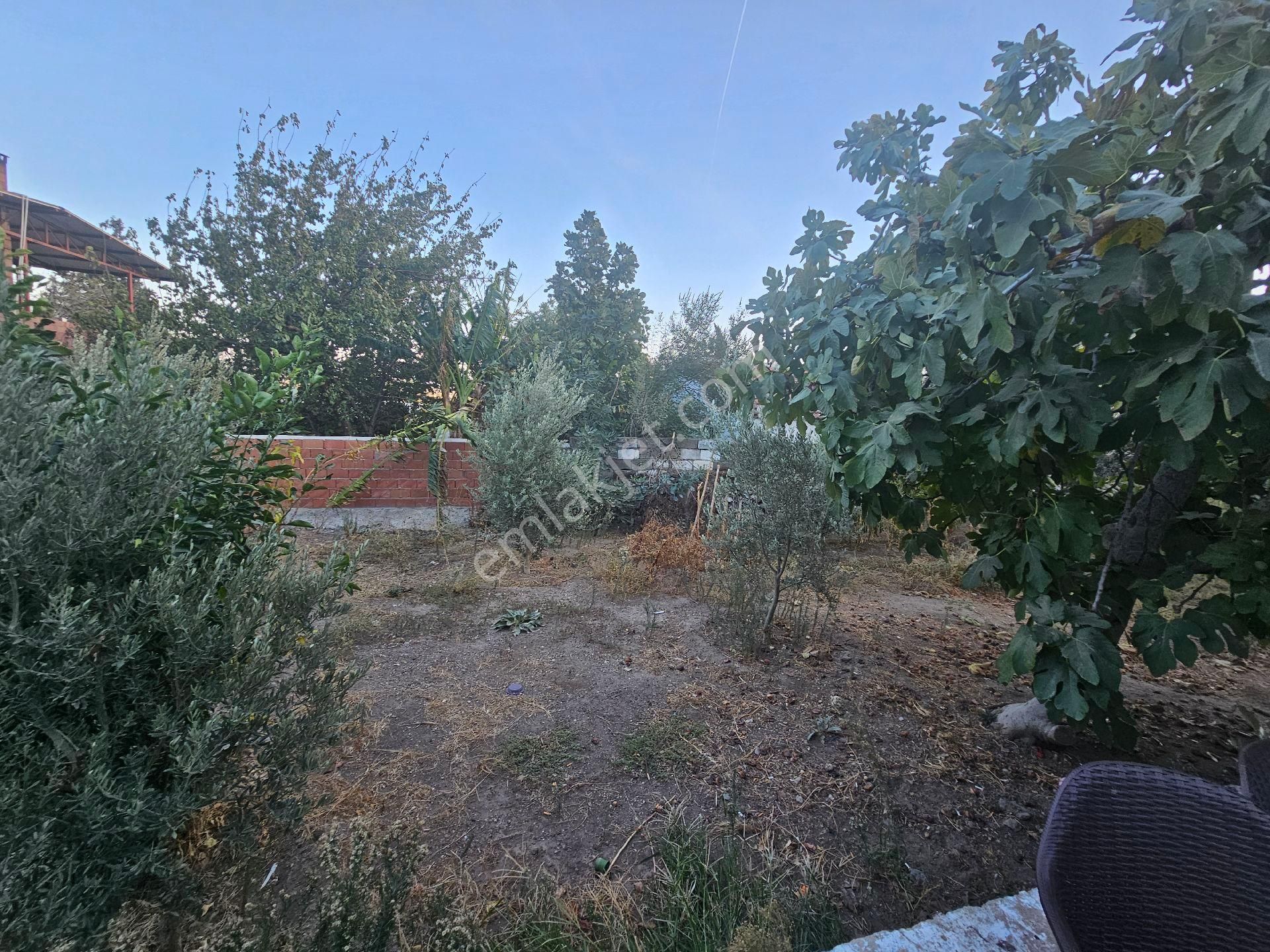 Söke Emlak Ofisisınden Akçakonak Mah.de Satılık Mustakıl Ev - Görsel 22