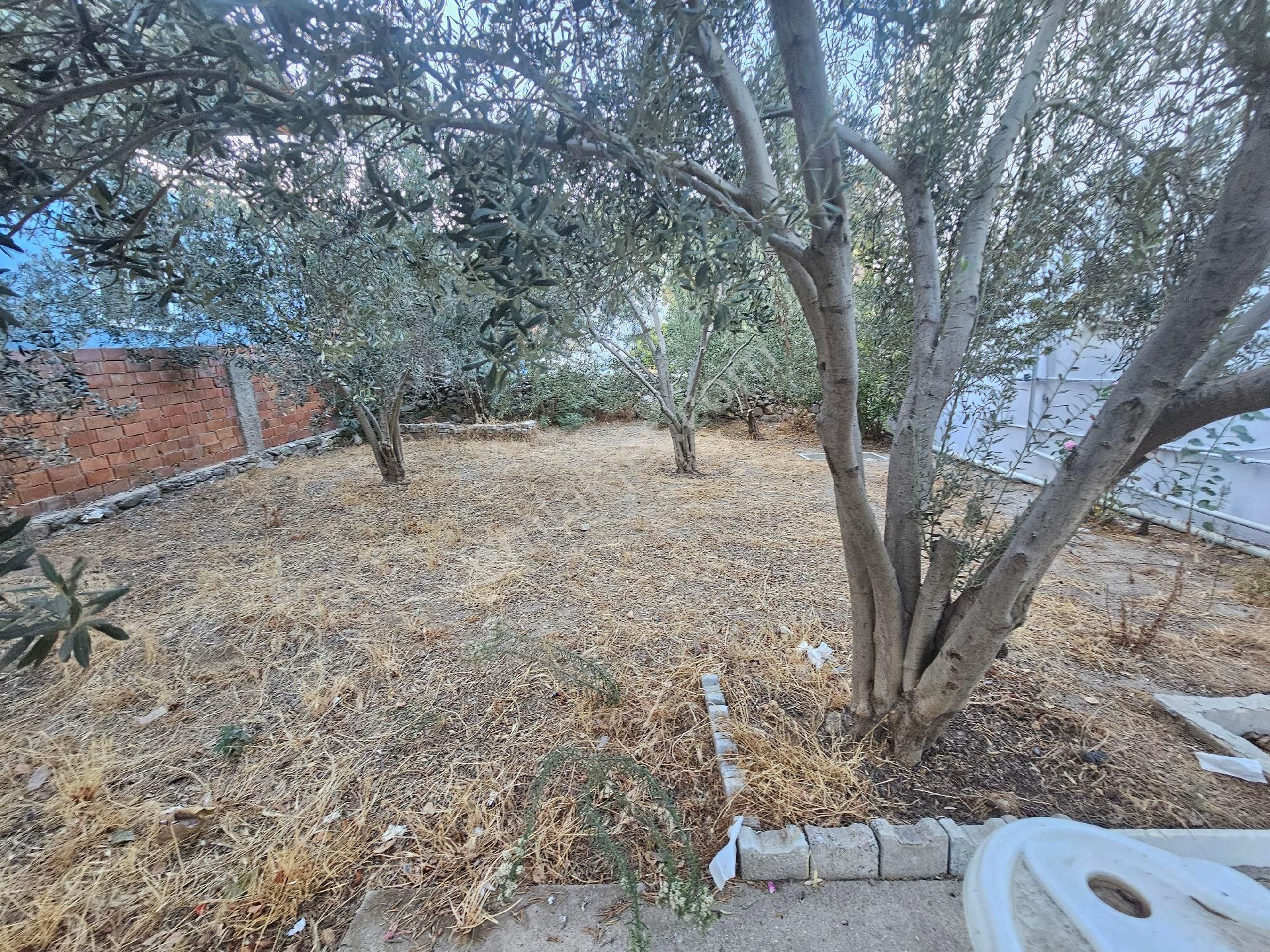 Söke Emlak Ofisisınden Akçakonak Mah.de Satılık Mustakıl Ev - Görsel 16