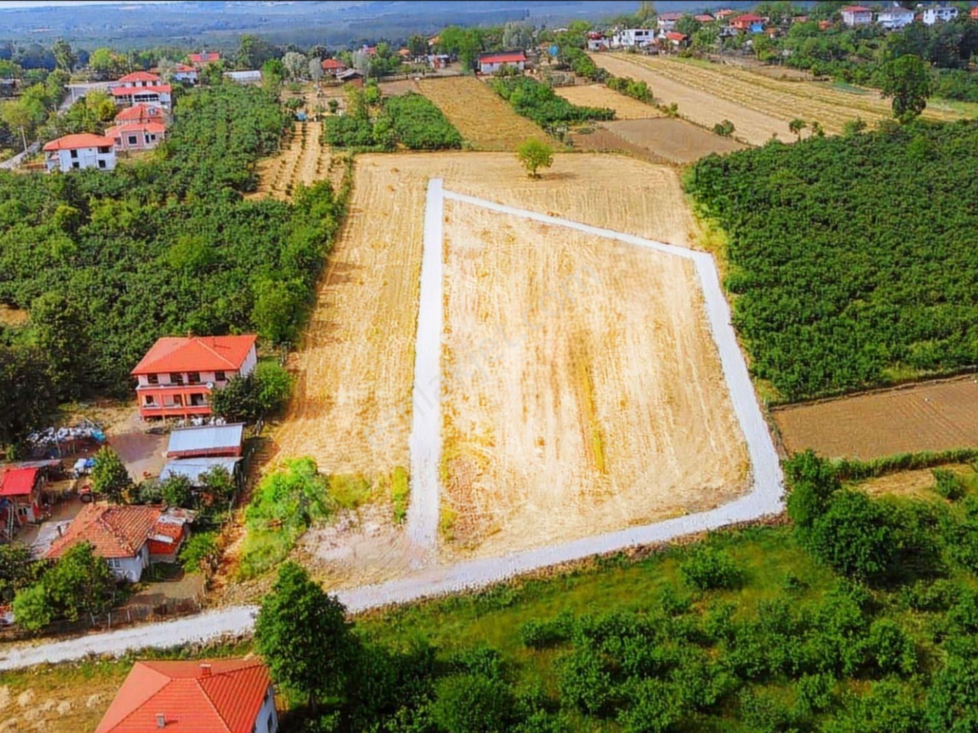 Sakarya Turnalı Köyünde, Denize Yakın İmarlı Satılık 484 M² Arsa