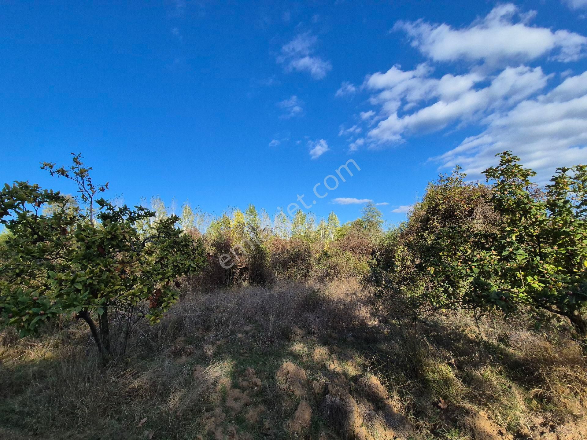 Roma' Dan Kurşunlu' Da Satılık Tarla - Görsel 6