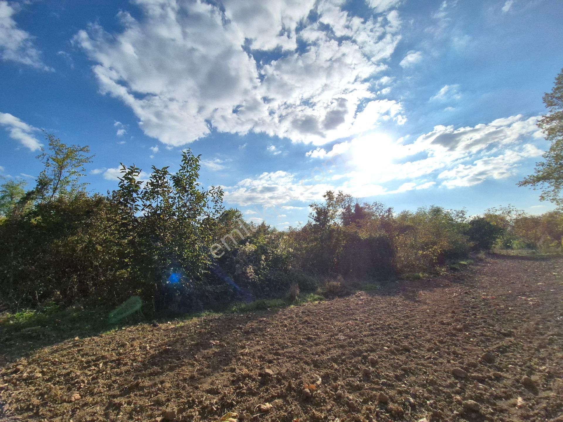 Roma' Dan Kurşunlu' Da Satılık Tarla - Görsel 2