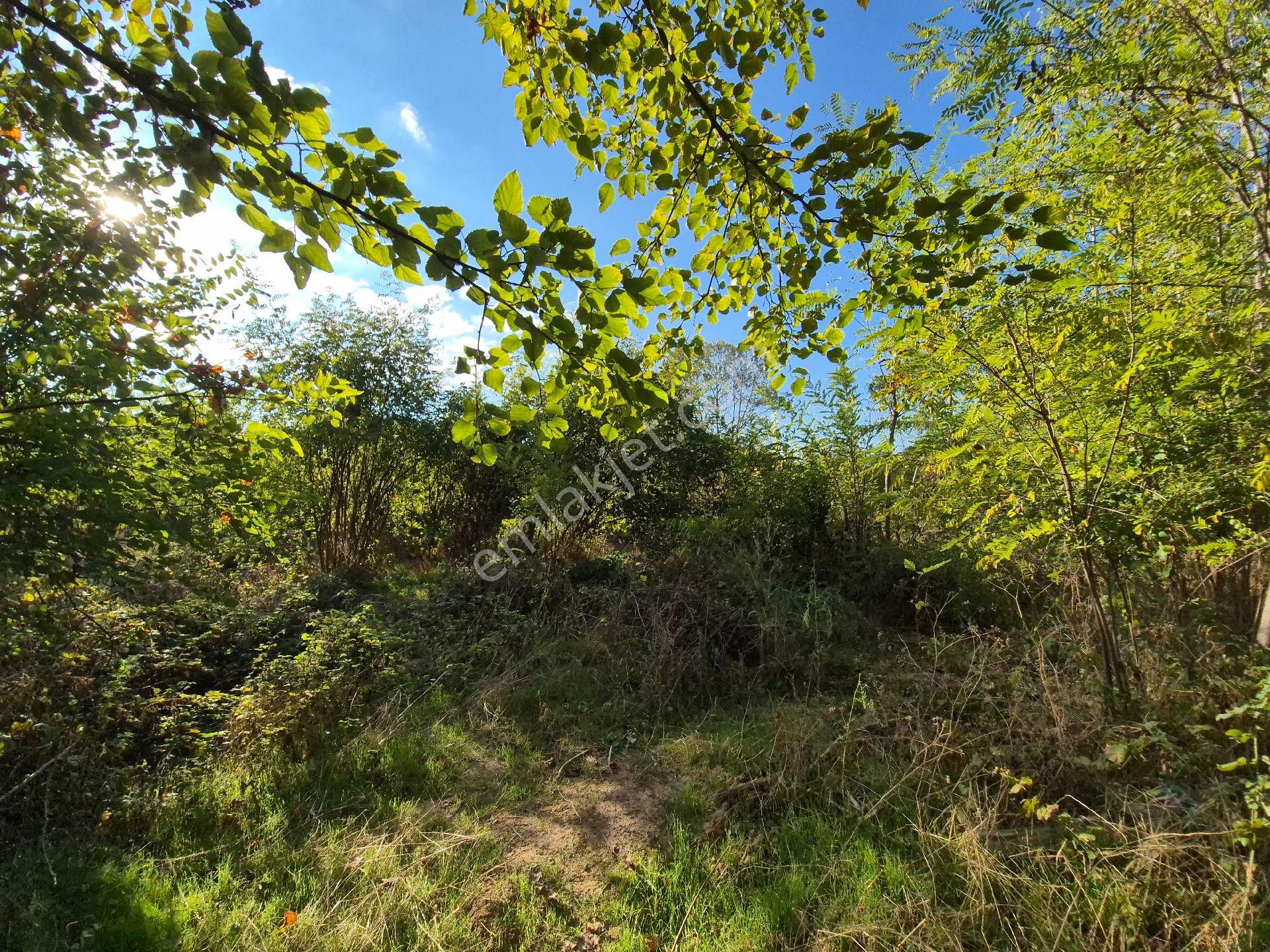 Roma' Dan Kurşunlu' Da Satılık Tarla - Görsel 12