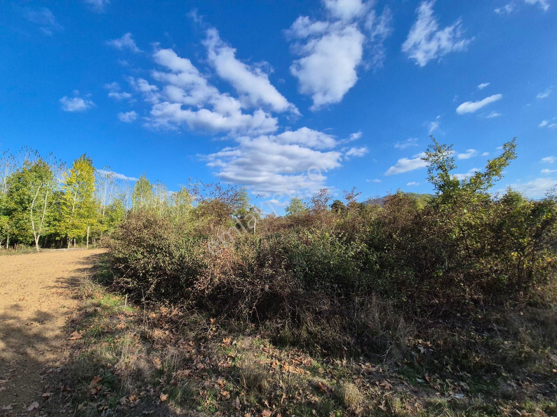 Roma' Dan Kurşunlu' Da Satılık Tarla - Görsel 5