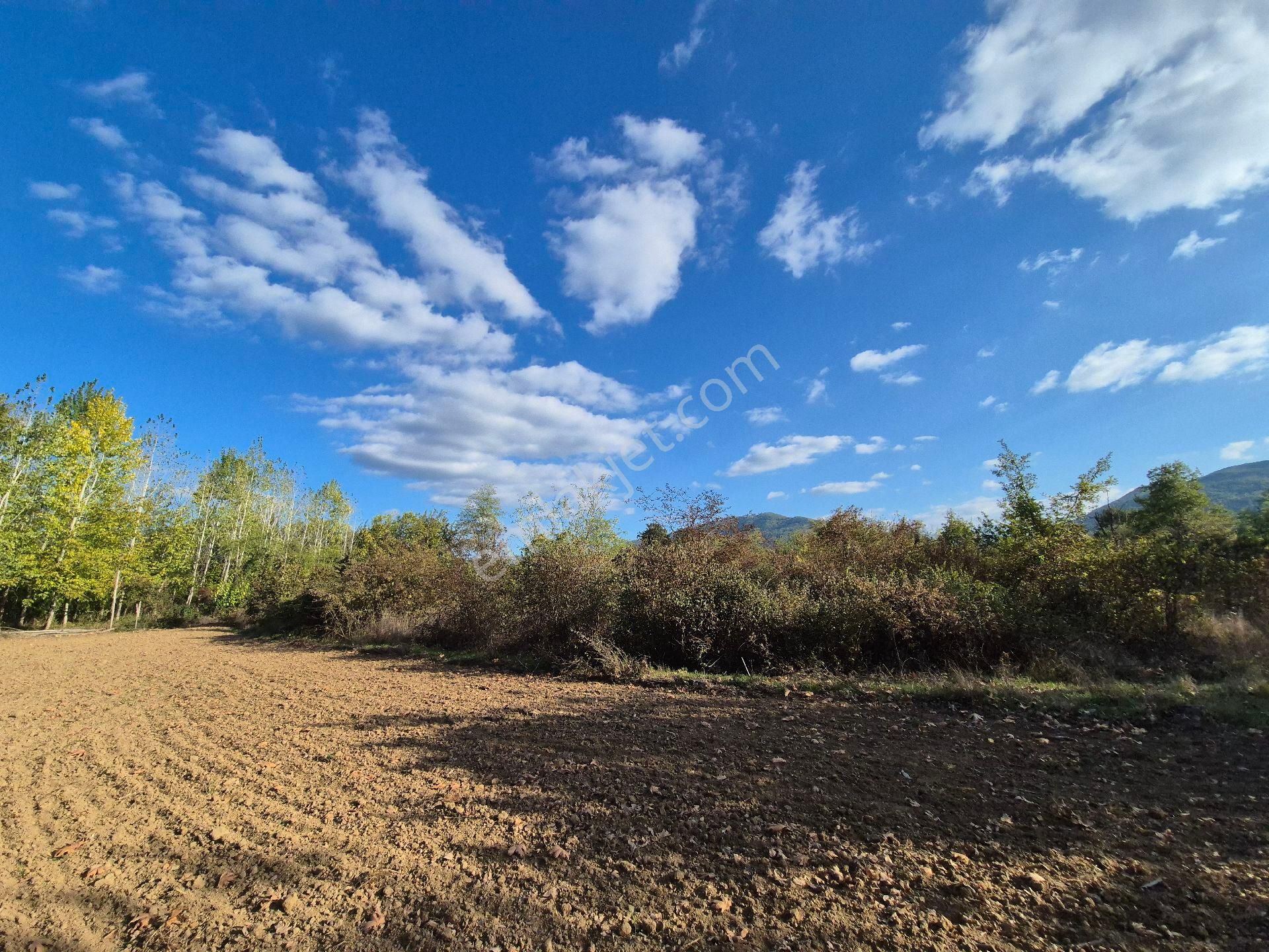 Roma' Dan Kurşunlu' Da Satılık Tarla - Görsel 4