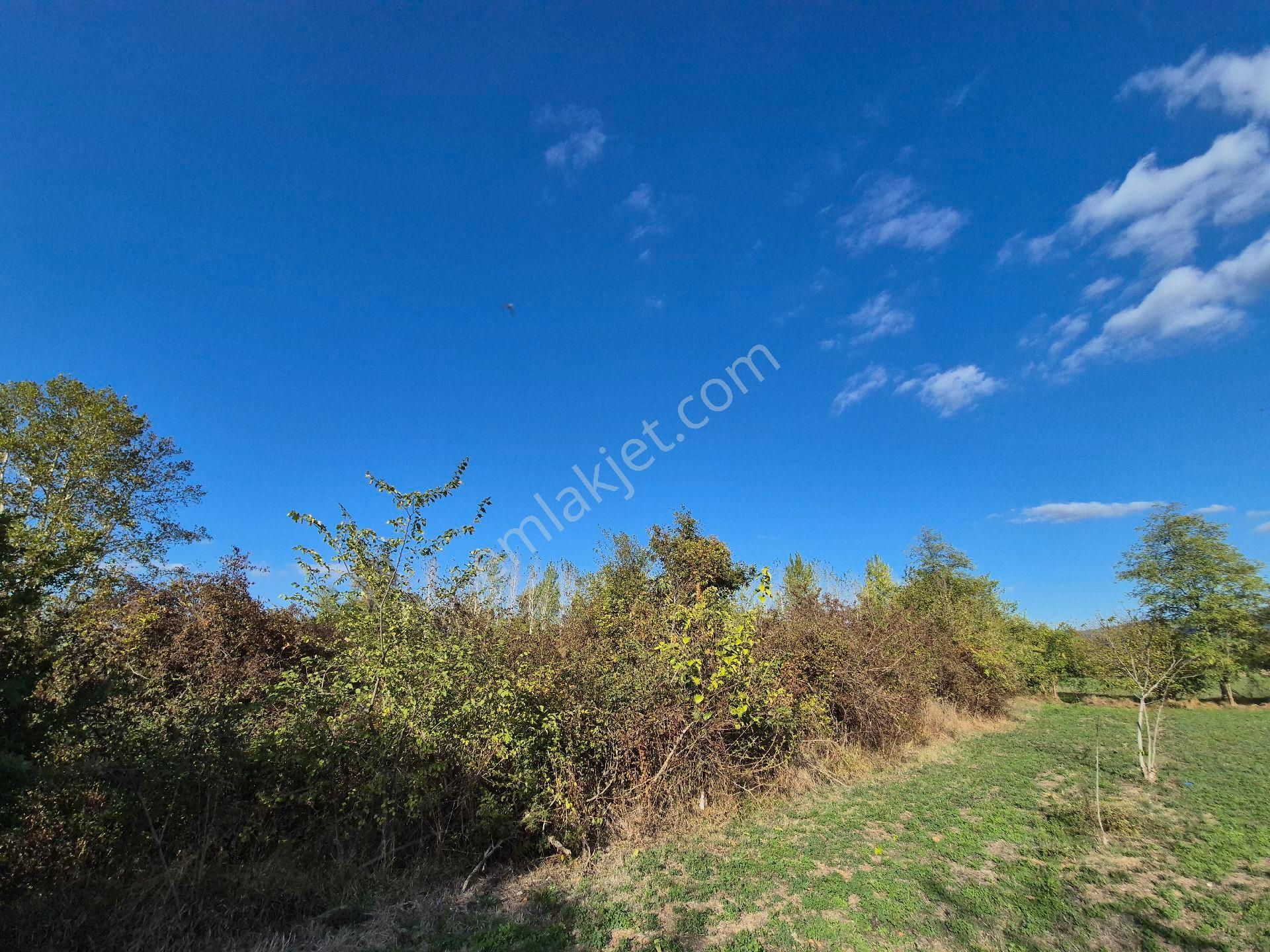 Roma' Dan Kurşunlu' Da Satılık Tarla - Görsel 9