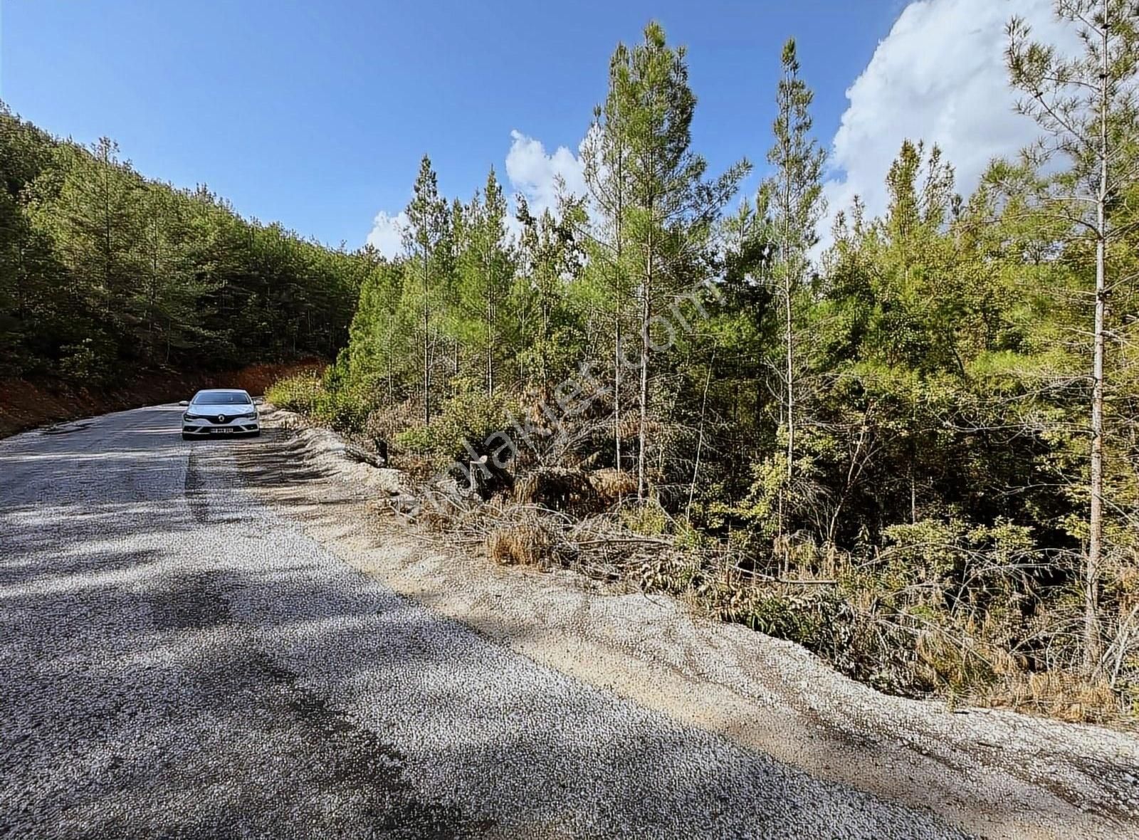 Alanya Üzümlüde 950 M2 Tarla - Görsel 6