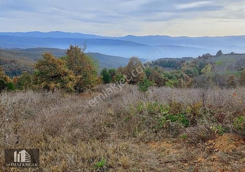Bursa İnegöl Sülüklügöl'de 6.706 M2 Yol Cepheli Tek Tapu - Görsel 4