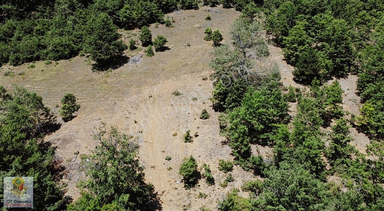 Osmaneli Oğulpaşa Köyü (Merkez) Satılık Tarla Göletin Üzerinde 9,207 M2 Yatırıma Uygun Fırsat Arazi