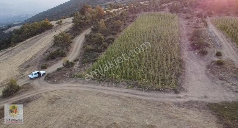 Osmaneli Oğulpaşa Köyü (Merkez) Satılık Tarla Resmi Yolu Olan 3204 M2 Manzaralı Satılık Tarla