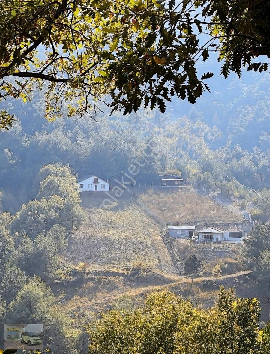 Geyve Melekşesolak Satılık Tarla MELEKŞESOLAK'DA İÇİNDE EV BULUNAN TARLAMIZ SATILIKTIR