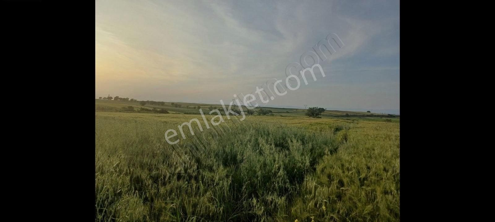 Altıeylül Paşaköy Satılık Tarla PAŞAKÖY MAHALLESİNDE 3350 m2 YATIRIMLIK ARAZİ KÖYE YAKIN