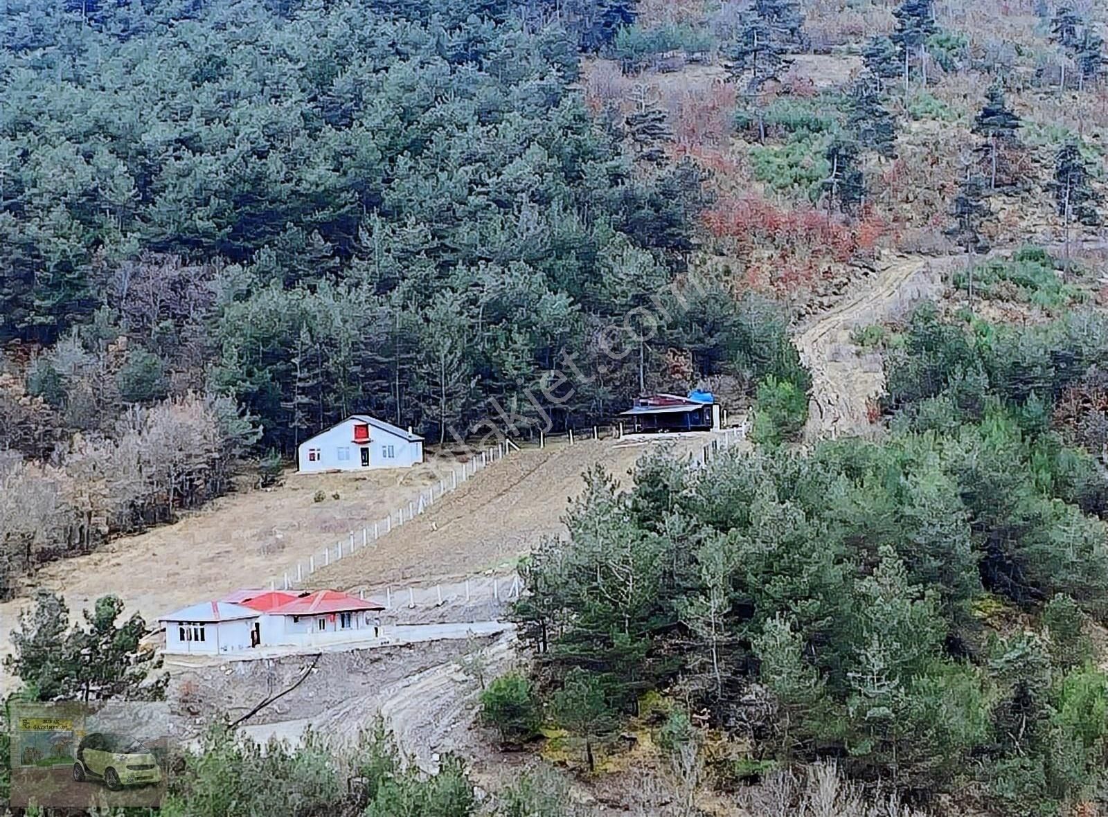 Geyve Melekşesolak Satılık Tarla GEYVE MELEKŞESOLAK'TA 2 DÖNÜM İÇİNDE TİNEHOUSE'LU SATILIK TARLA!