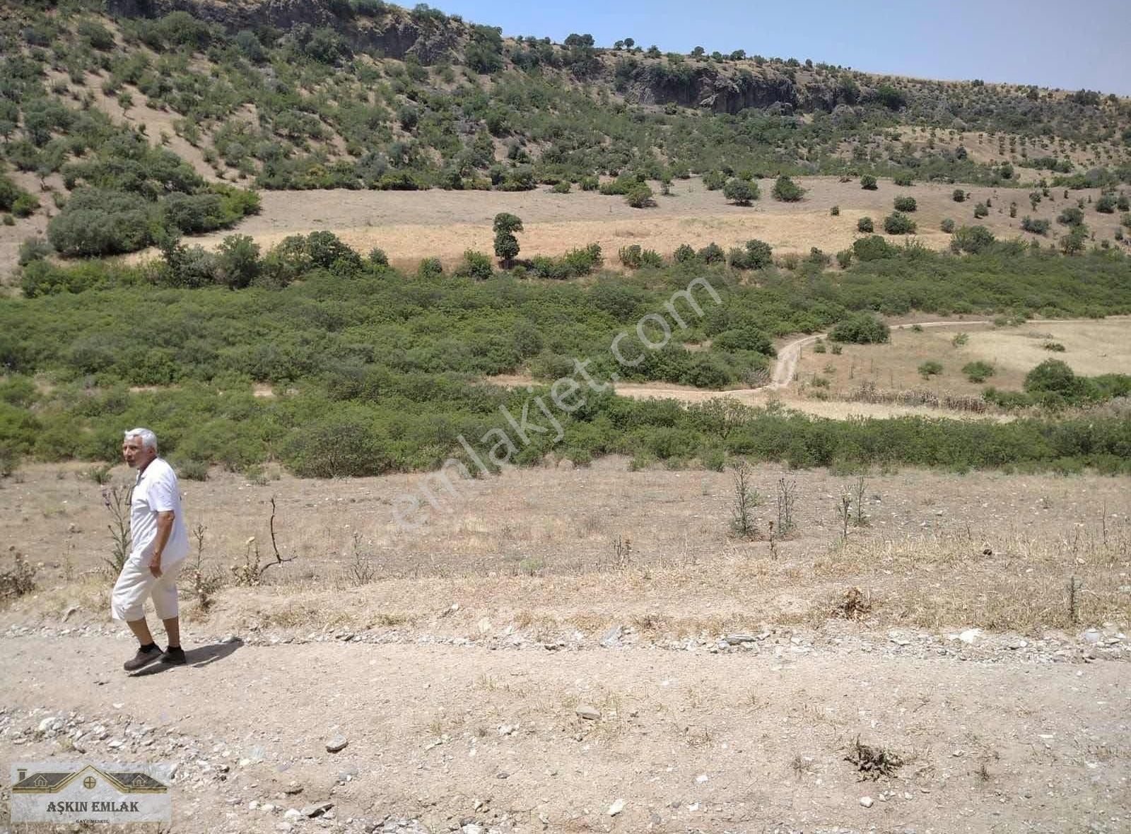 Salihli Oraklar Satılık Tarla ORAKLAR MAHALLESİNDE SATILIK TARLA