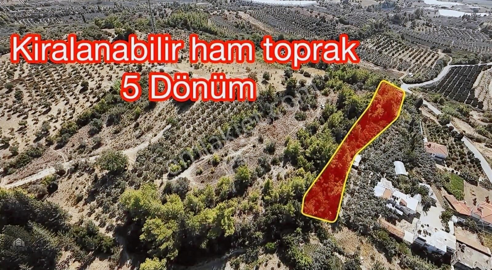 Manavgat Şişeler Satılık Tarla YATIRIMLIK FIRSAT 9 DÖNÜM TEK TAPU YÜKSEK KONUM KÖYİÇİ TARLA