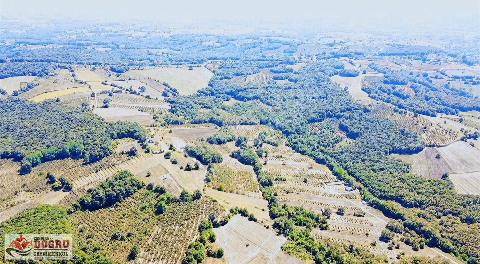 Kandıra Dalca İçerisinde Konteyner Bulunan 2200 M2 Yollu Tarla - Görsel 6