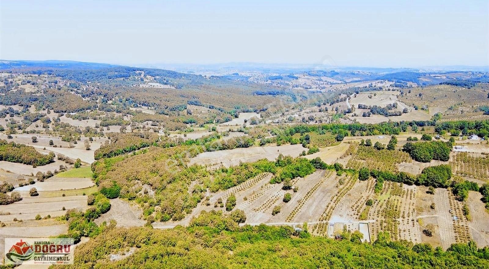 Kandıra Dalca İçerisinde Konteyner Bulunan 2200 M2 Yollu Tarla - Görsel 14