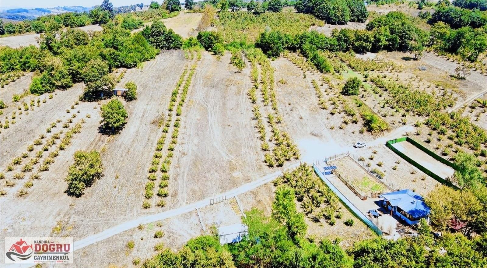 Kandıra Dalca İçerisinde Konteyner Bulunan 2200 M2 Yollu Tarla - Görsel 10