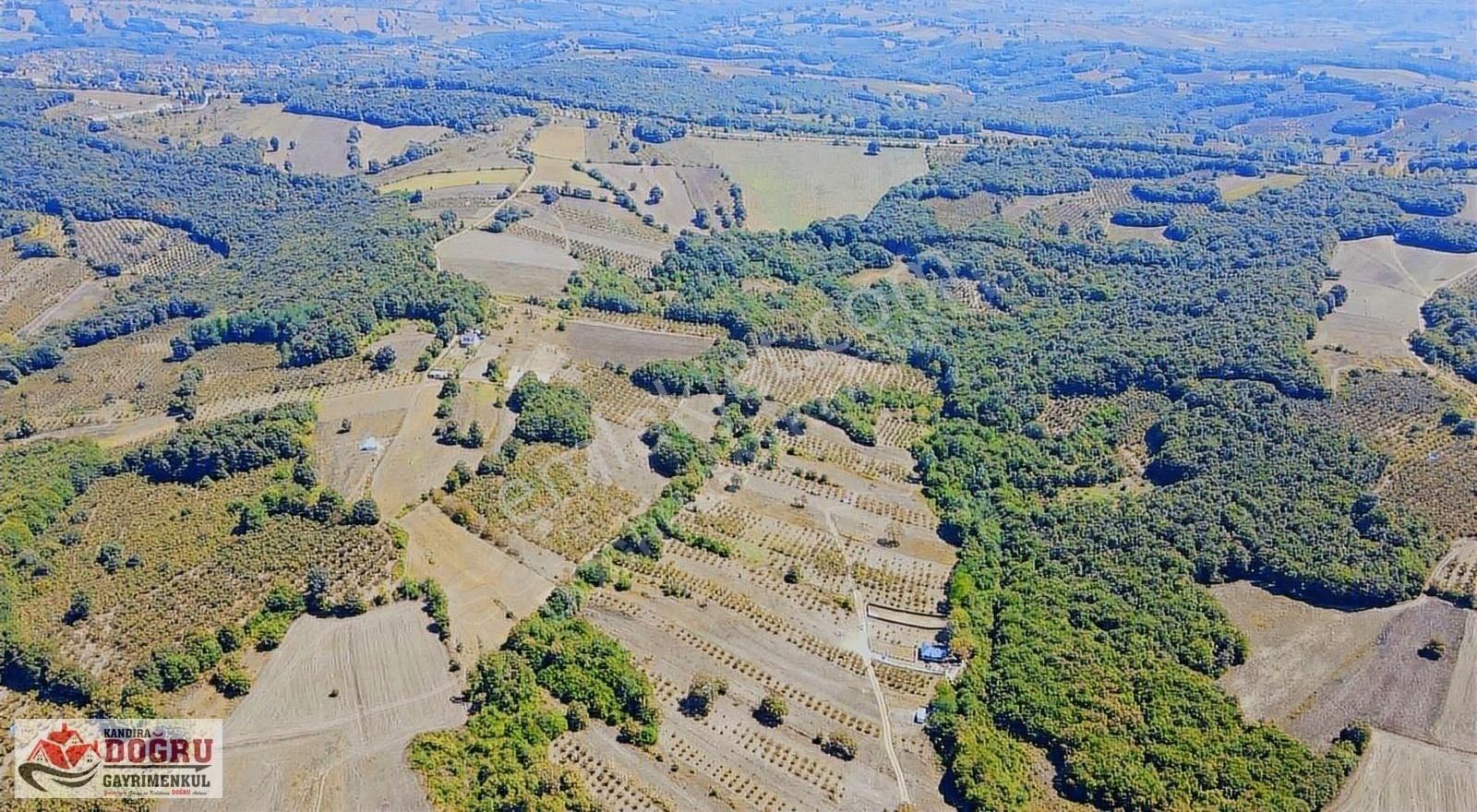 Kandıra Dalca İçerisinde Konteyner Bulunan 2200 M2 Yollu Tarla - Görsel 13