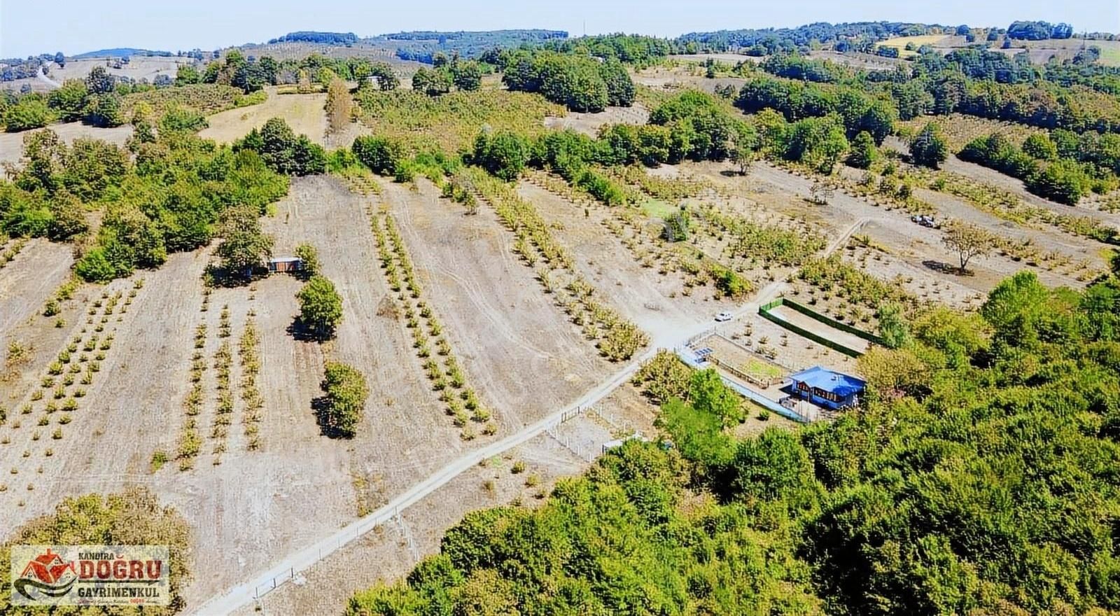 Kandıra Dalca İçerisinde Konteyner Bulunan 2200 M2 Yollu Tarla - Görsel 5