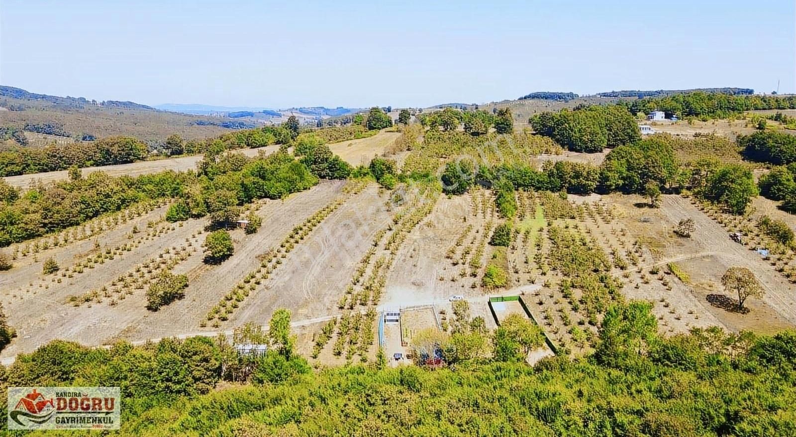 Kandıra Dalca İçerisinde Konteyner Bulunan 2200 M2 Yollu Tarla - Görsel 15