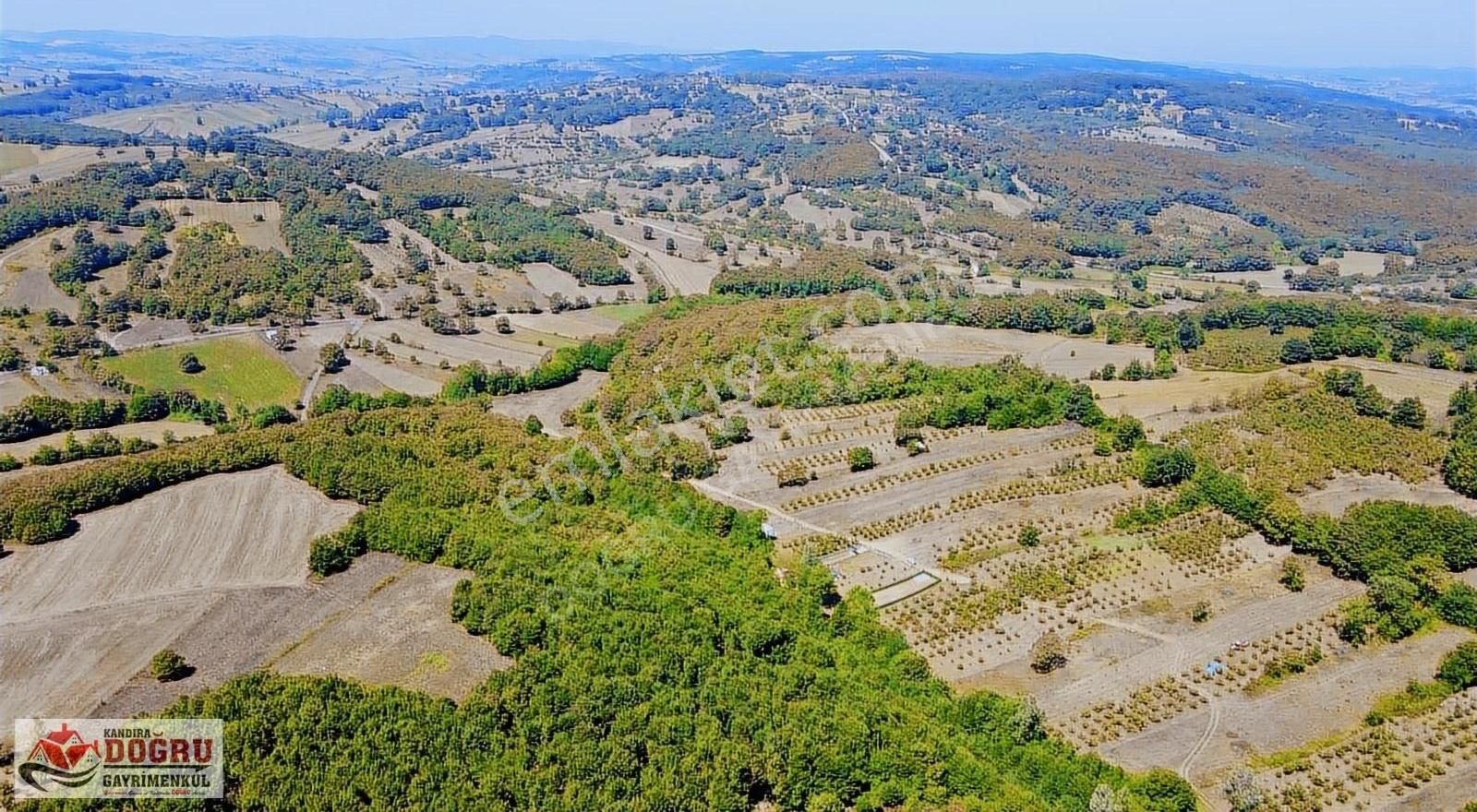 Kandıra Dalca İçerisinde Konteyner Bulunan 2200 M2 Yollu Tarla - Görsel 11
