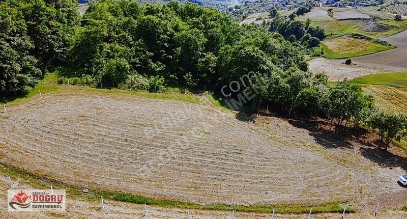 Kandıra Bozburun Satılık Tarla BOZBURUN KÖYÜNDE KAÇIRILMİCAK KELEPİR TARLA İLK GELEN ALIR