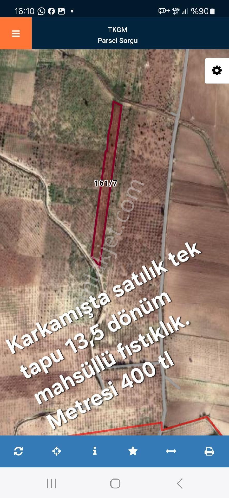 Karkamış Erenyolu Satılık Zeytinlik KARKAMIŞ ERENYOLU (TILHABERŞ KÖYÜ) SATLIK MAHSÜLLÜ FISTIKLIK TEK TAPU 