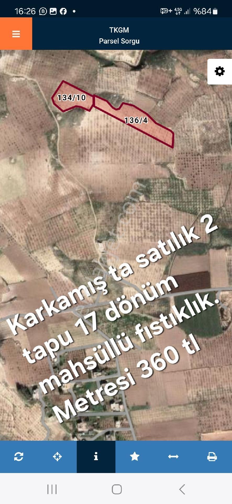 Karkamış Gürçay Satılık Zeytinlik KARKAMIŞ GÜRÇAY KÖYÜ SATILIK MAHSÜLLÜ FISTIKLIK 