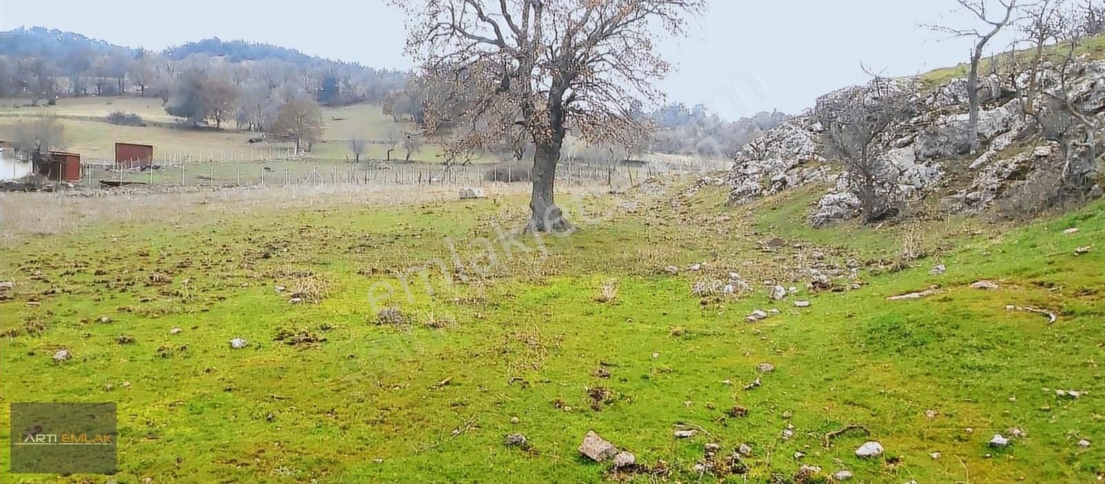 Havran Kocadağ Satılık Tarla ▇AKÇAY ARTI EMLAK'TAN HAVRAN KOCADAĞ'DA SATILIK 6400m2 TARLA▇