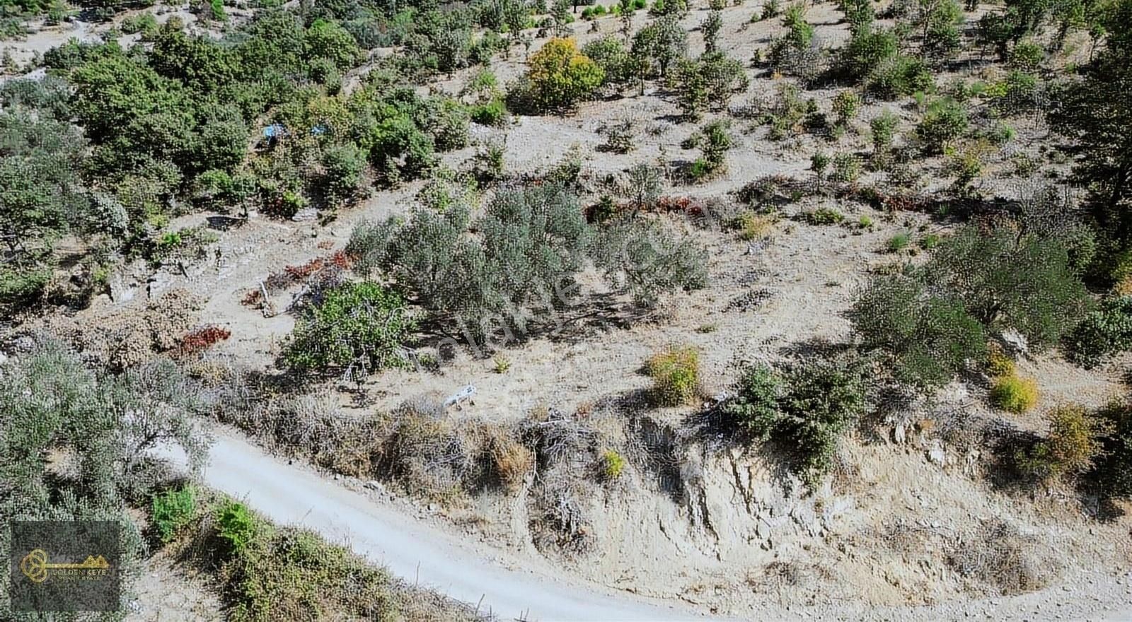 Bergama Sarıcaoğlu Satılık Tarla BERGAMA SARICAOĞLU´NDA MUHTEŞEM MANZARALI TARLA GOLDEN KEYS