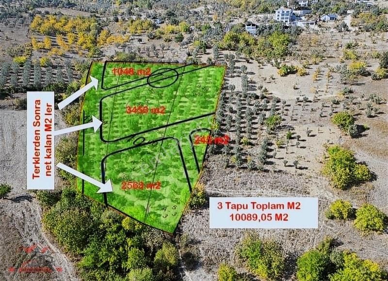 Geyve Alifuatpaşa Satılık Konut İmarlı SAKARYA GEYVE DÜZAKÇAŞEHİR MAH 10089,05M2 SATILIK İMARLI ARSA