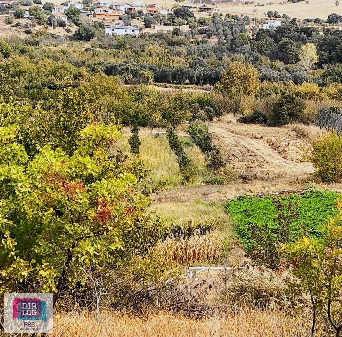 Lapseki Alpagut Köyü Satılık Tarla ÇANAKKALE LAPSEKİ ALPAGUT KÖYÜNDE 7398 M2 SATILIK TARLA