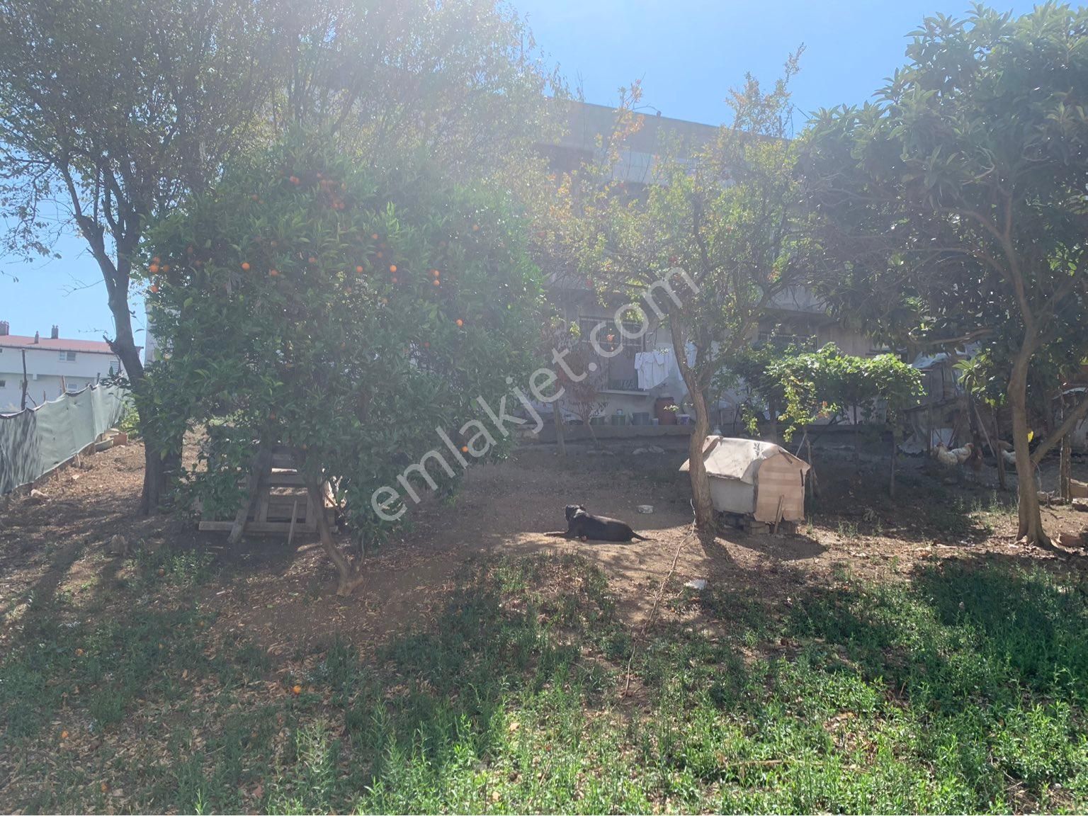 Fırsat Arsa Kat Karşılığı Müstakil Arsa Ev - Görsel 11